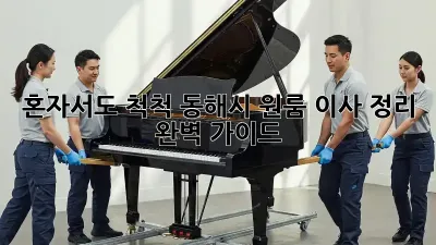 혼자서도 척척! 동해시 원룸 이사 정리 완벽 가이드