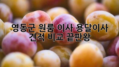 영동군 원룸 이사? 용달이사 견적 비교 끝판왕!